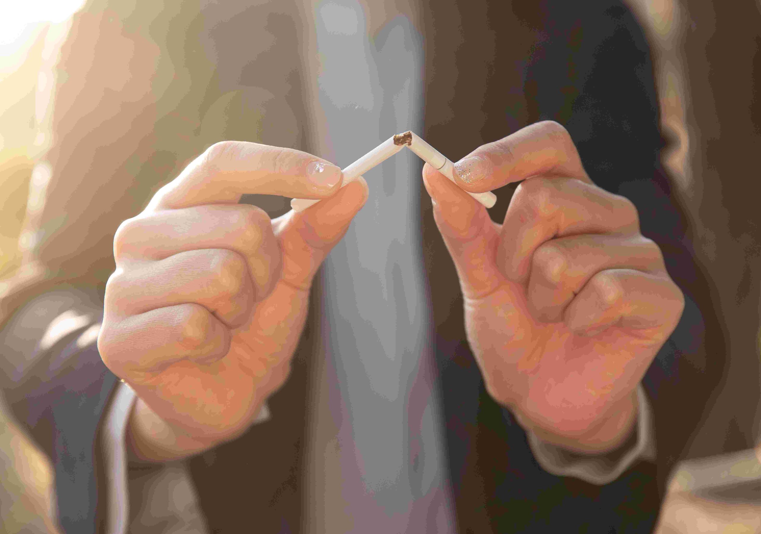 종소세 지방소득세 함께 신고 정리 6