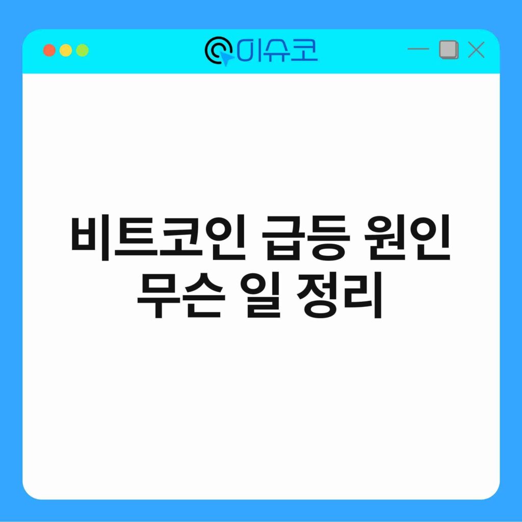 비트코인 급등 원인 무슨 일 정리 16