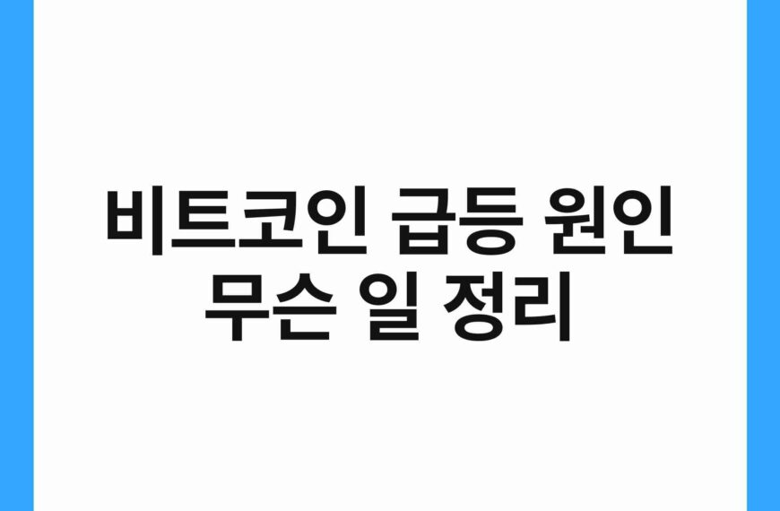 비트코인 급등 원인 무슨 일 정리 17