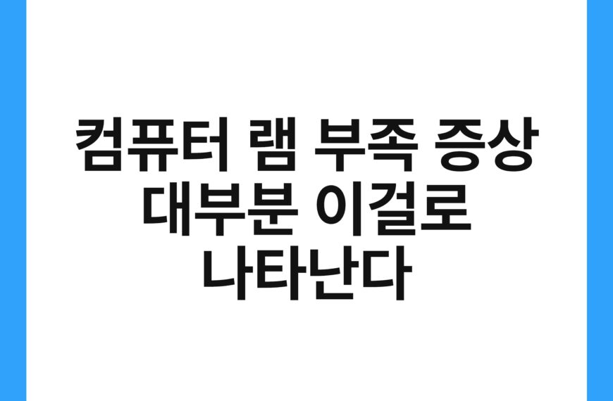 컴퓨터 램 부족 증상 대부분 이걸로 나타난다 11